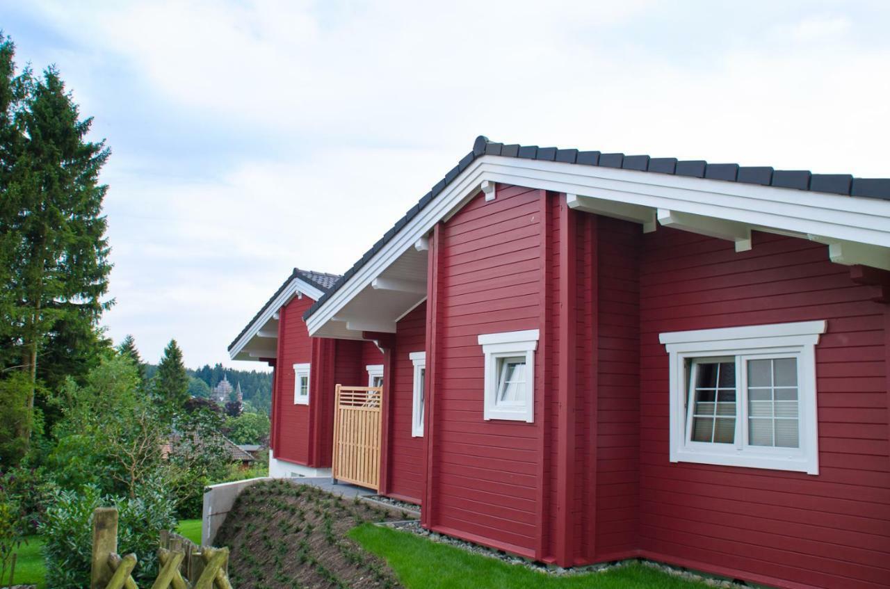 Ferienblockhaus Auerhahn & Luchs Villa Goslar Dış mekan fotoğraf