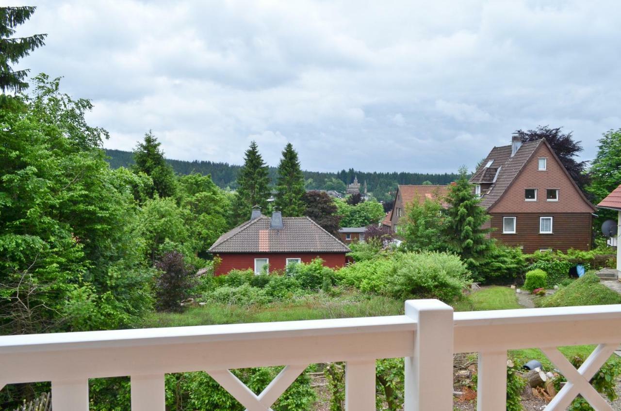 Ferienblockhaus Auerhahn & Luchs Villa Goslar Dış mekan fotoğraf