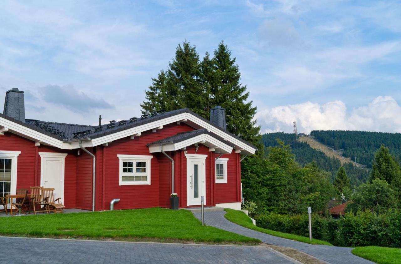 Ferienblockhaus Auerhahn & Luchs Villa Goslar Dış mekan fotoğraf